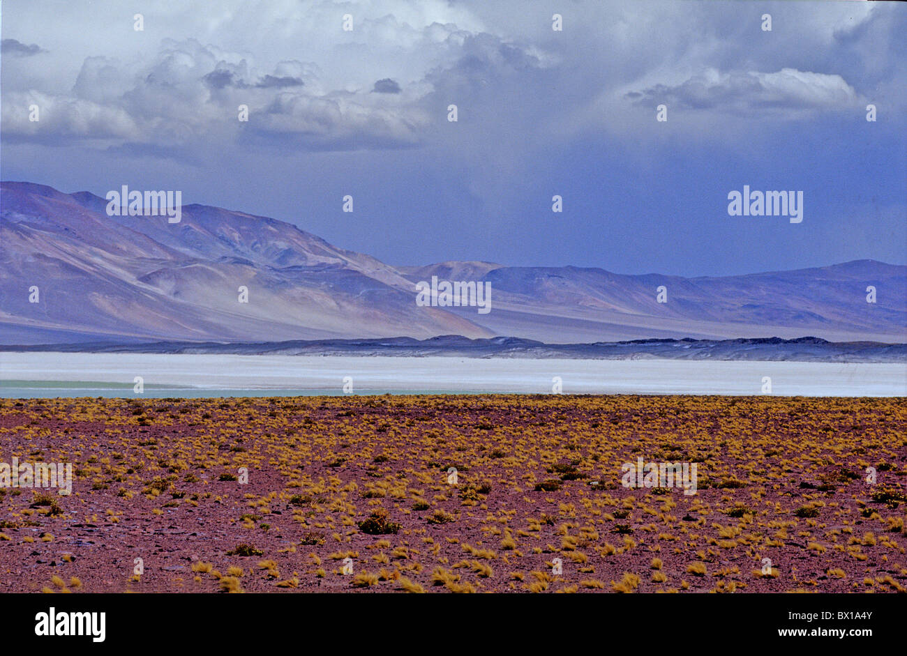 Région d'Atacama Andes du nord du Chili Le Chili Amérique du Sud Amérique du Salar Aguas Calientes Salt Lake desert land Banque D'Images