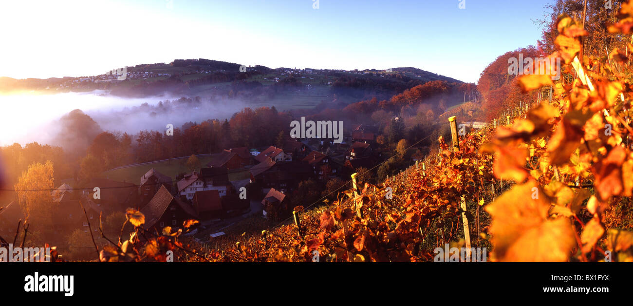 Wienacht règlement village paysage d'automne vin vignoble tire de l'humeur des brouillards de crépuscule crépuscule Appenze Banque D'Images