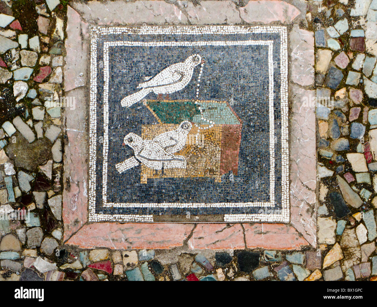 Sol de mosaïque de Pompéi représentant des oiseaux voler une boîte de bijoux de perles Banque D'Images