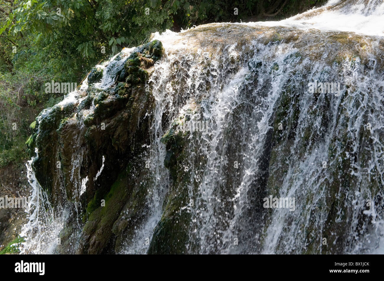 Tamasopo cascades à San Luis Potosí, au Mexique. La roche au bord ressemble à un hippopotame. Banque D'Images