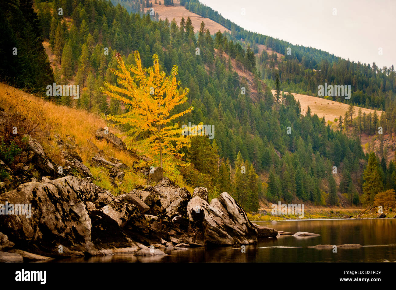 USA, New York, vue panoramique sur couleurs d'automne sur la rivière Clearwater. Au nord, l'Idaho. Banque D'Images