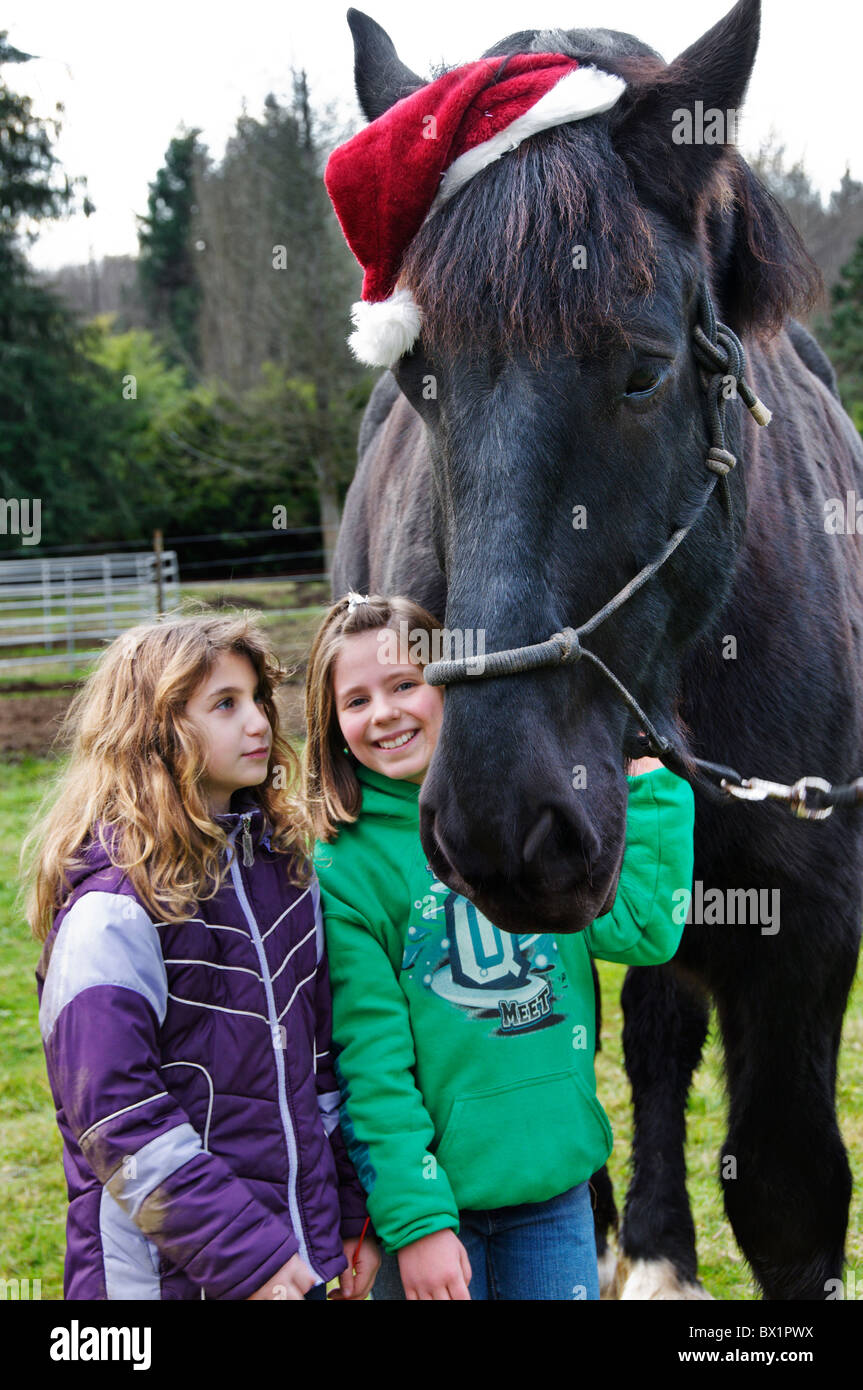 Un cheval portant un chapeau de Père Noël pose avec deux jeunes filles dans une ferme de l'état de Washington. Banque D'Images