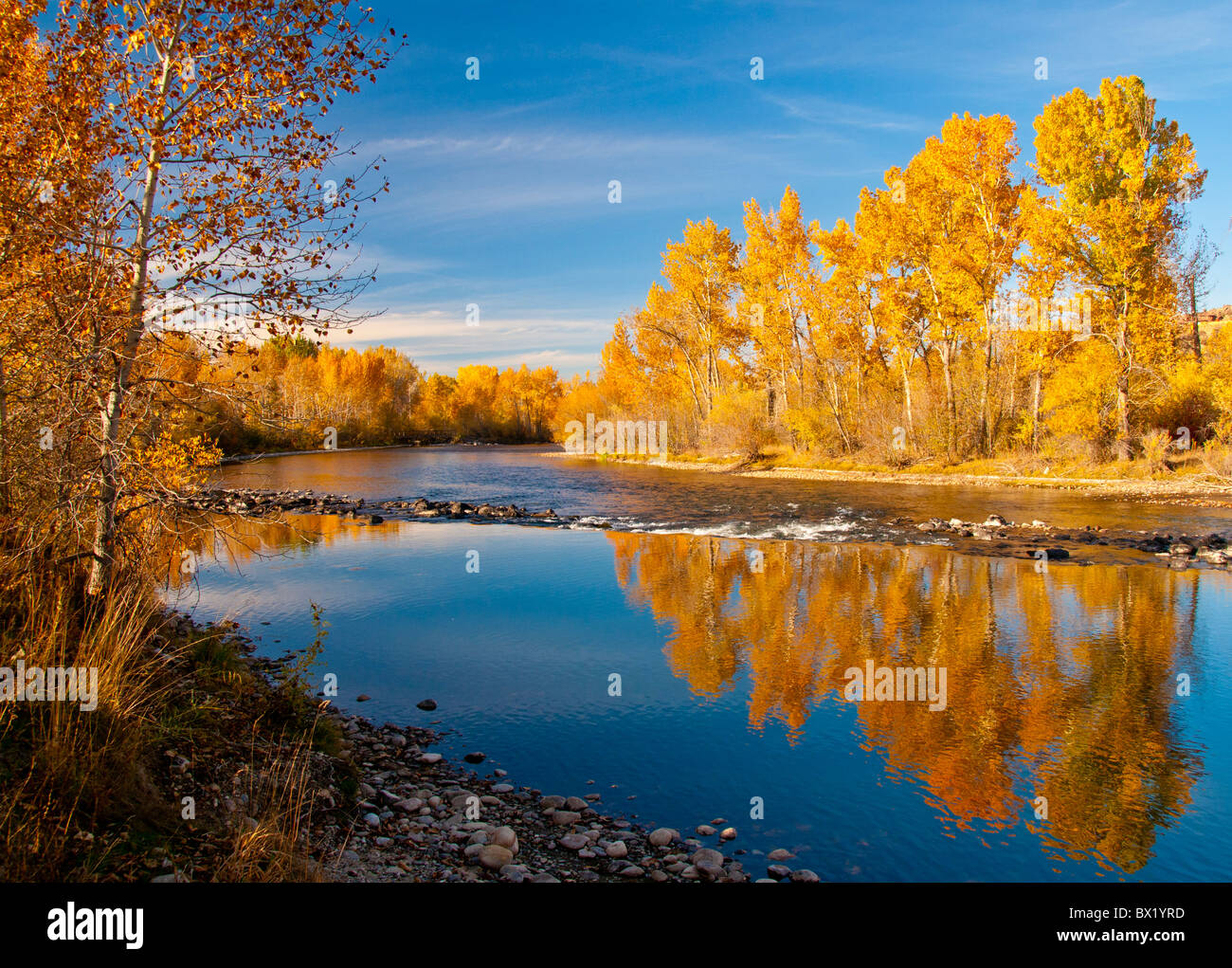 USA, Texas, ville de Boise, vue panoramique de peupliers qui reflète les couleurs de l'automne dans la rivière de Boise, Boise River Greenbelt Banque D'Images