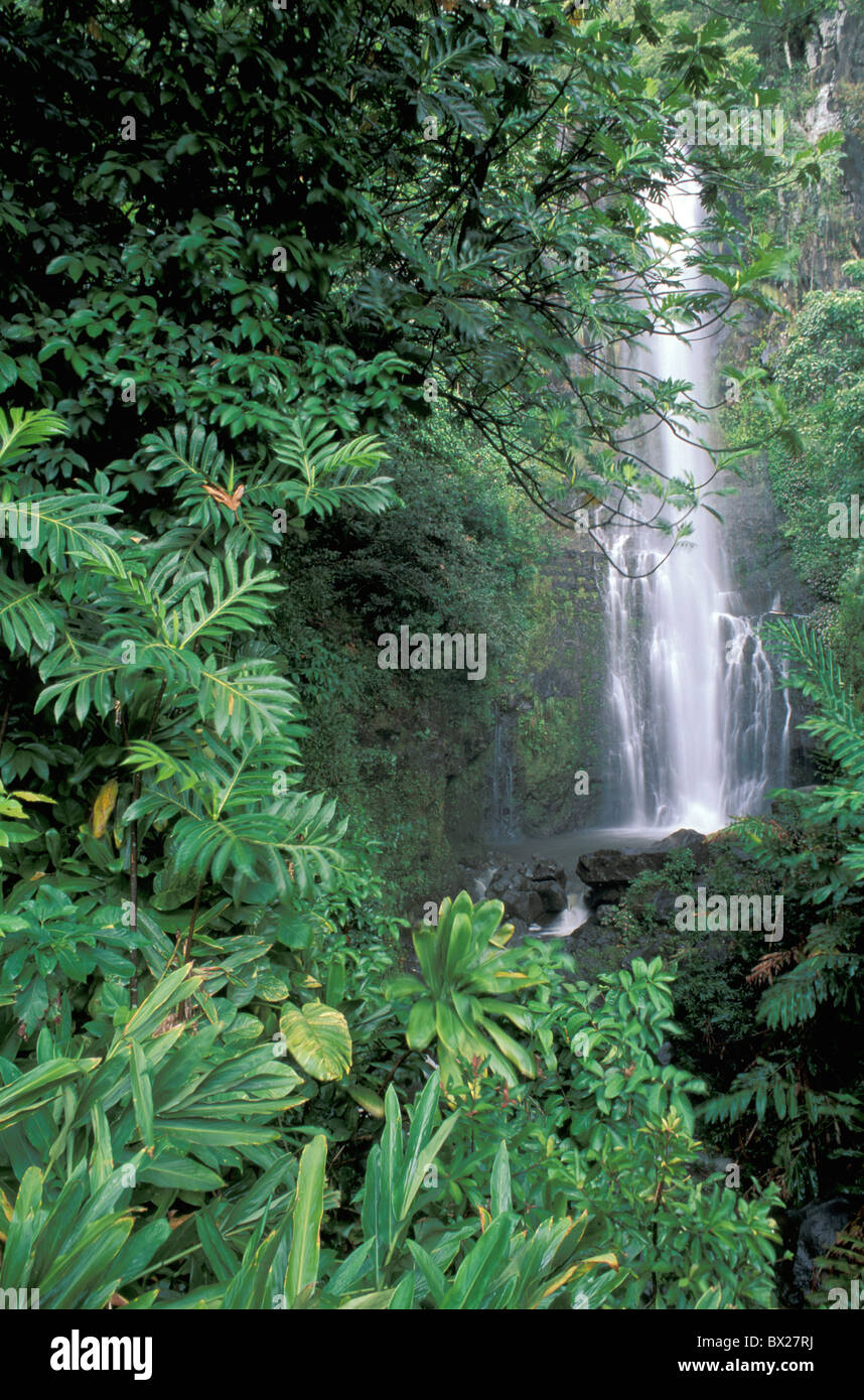 Hana Maui Hawaii USA United States America 10816945 paysage cascade forêt pluie tropiques Hana Highway Banque D'Images