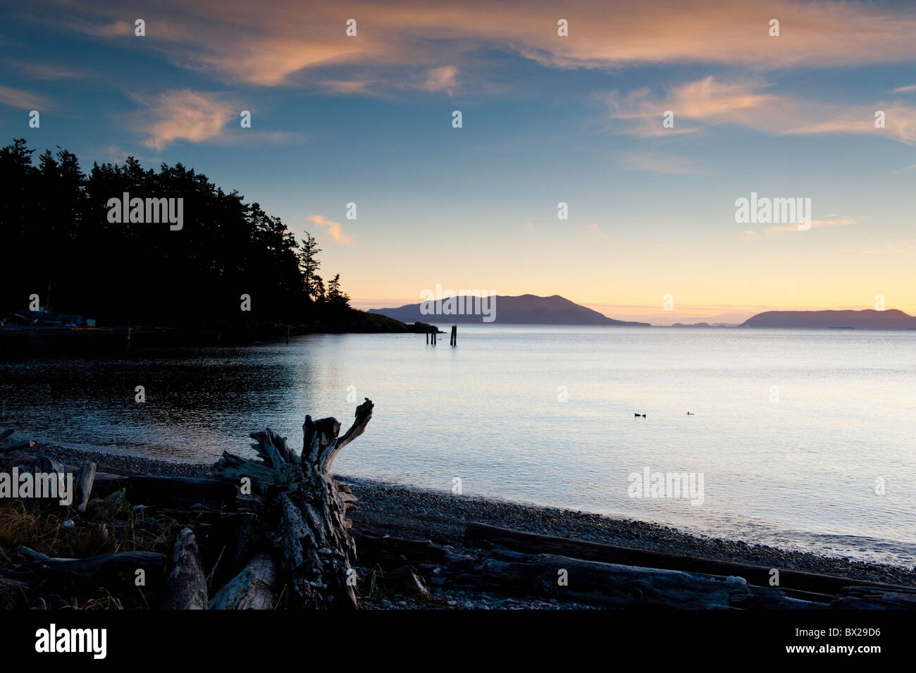 Coucher du soleil sur un soir d'automne clair et calme sur l'île de Lummi, Washington, dans la région de Puget Sound de la région du Nord-Ouest du Pacifique. Banque D'Images