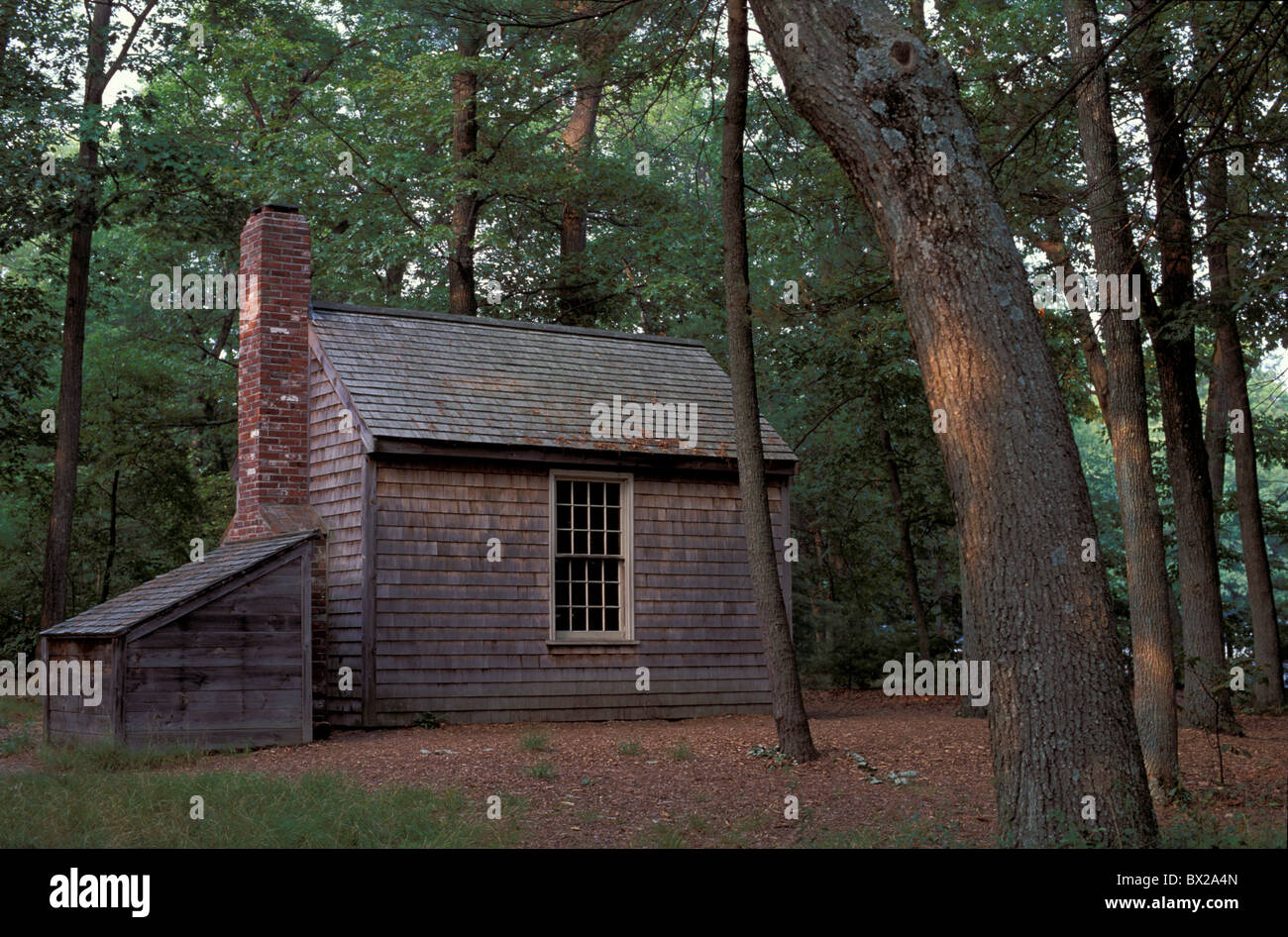 Nord à proximité de Concord Massachusetts cabine Thoreau Henry David Thoreau Walden Pond réplique United States Nort Banque D'Images