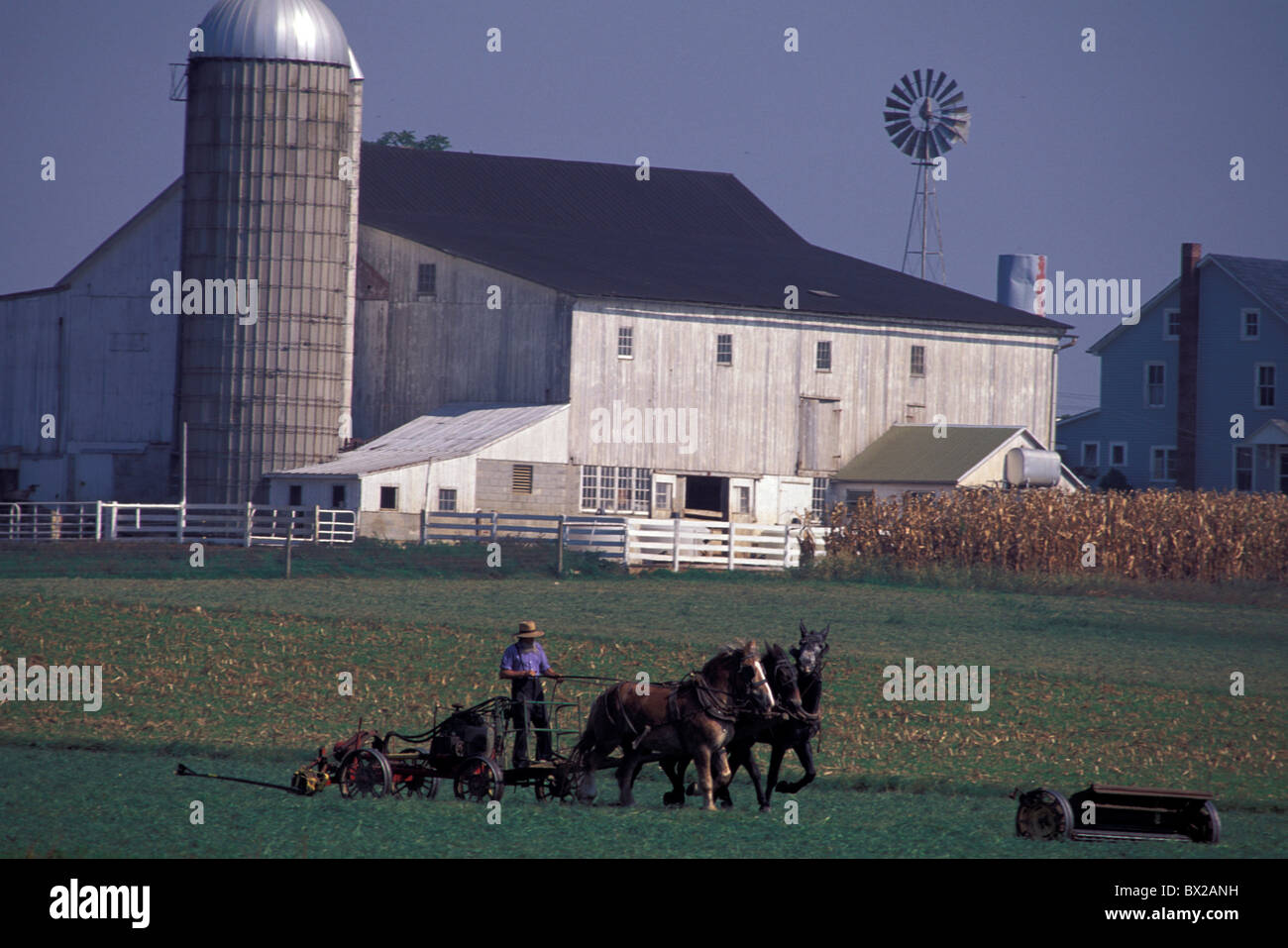 Old fashioned agriculteurs Amish ferme champ chevaux cages agriculture religion Christianisme Lancaster comté Phil Banque D'Images