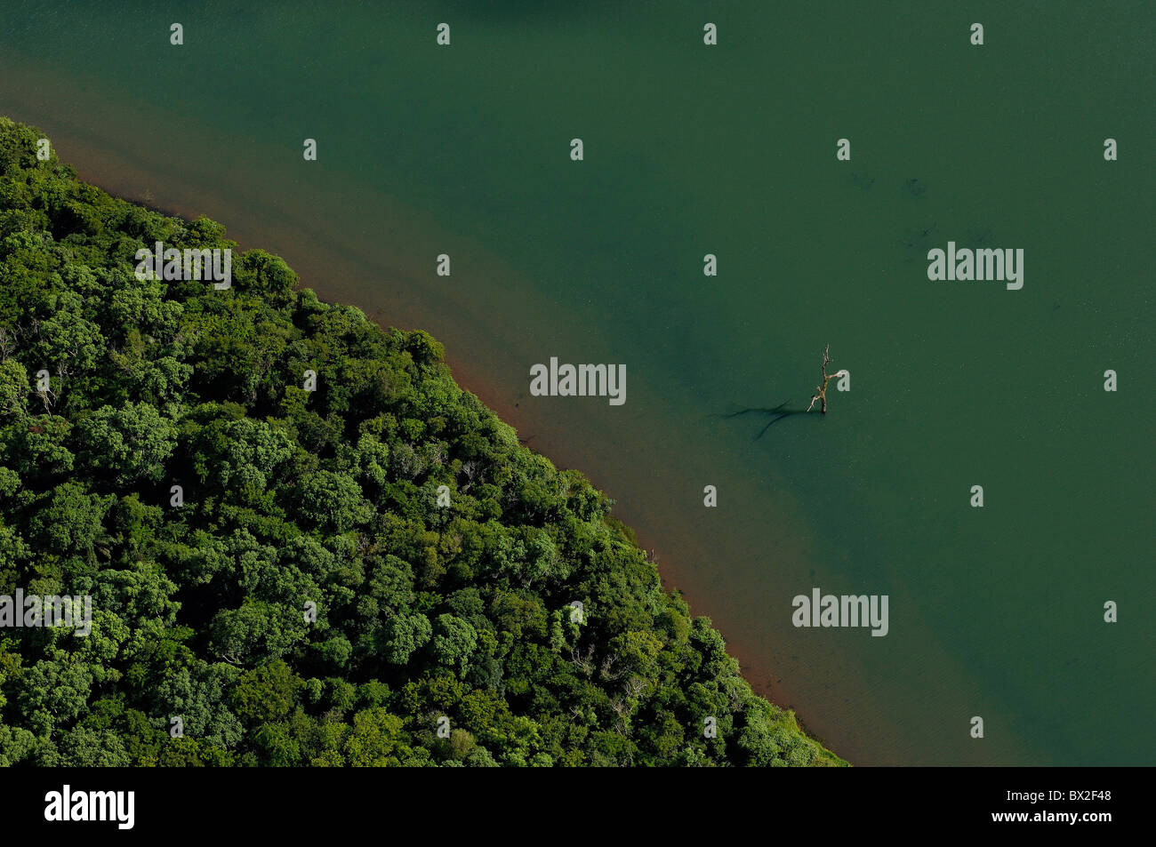 Photo aérienne Vue aérienne paysage forêt bois forêt pluie forêt vierge du débit des shore Foz do Rio Parana Banque D'Images