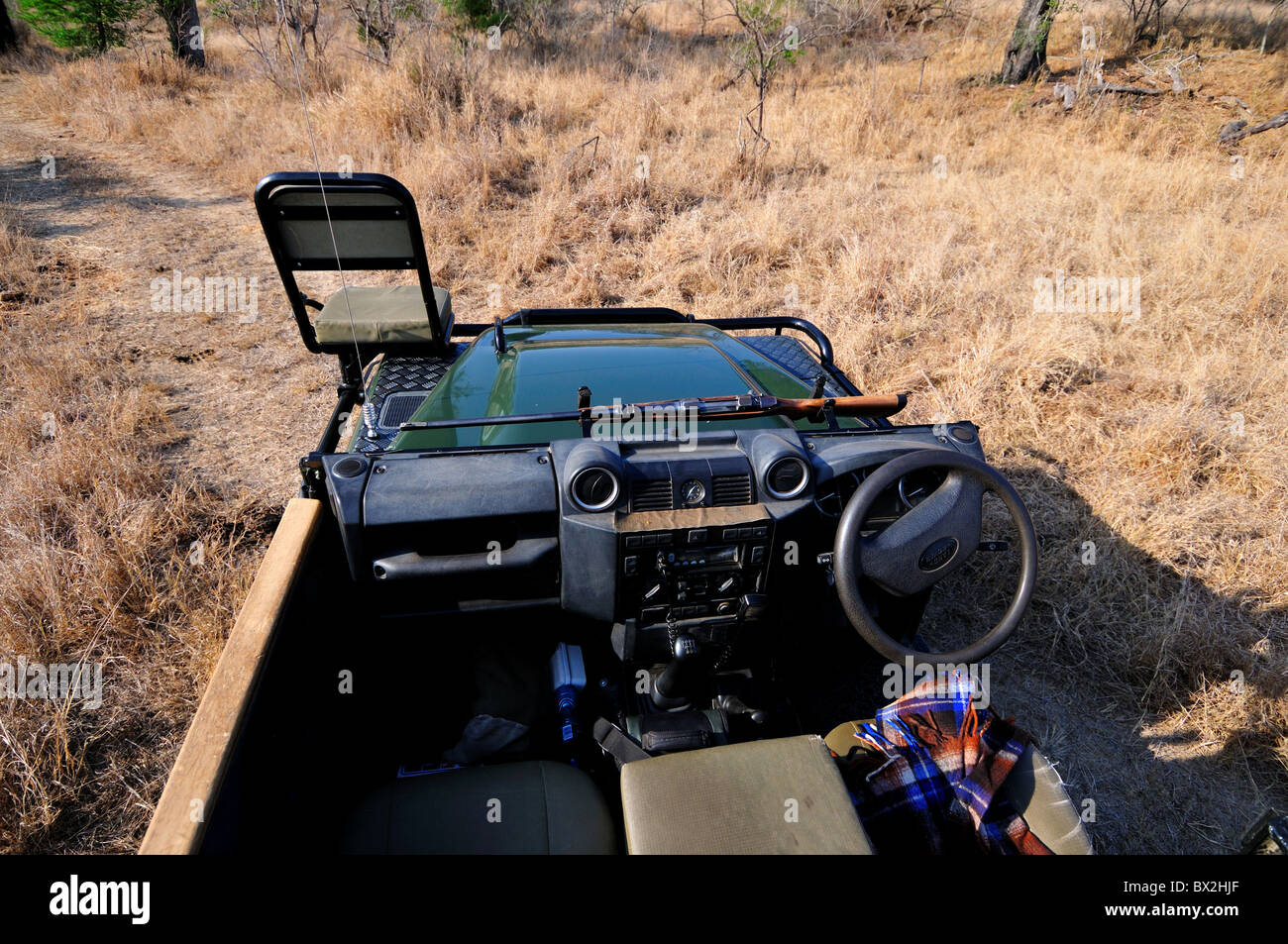 Un safari en jeep. Le Parc National Kruger, Afrique du Sud. Banque D'Images