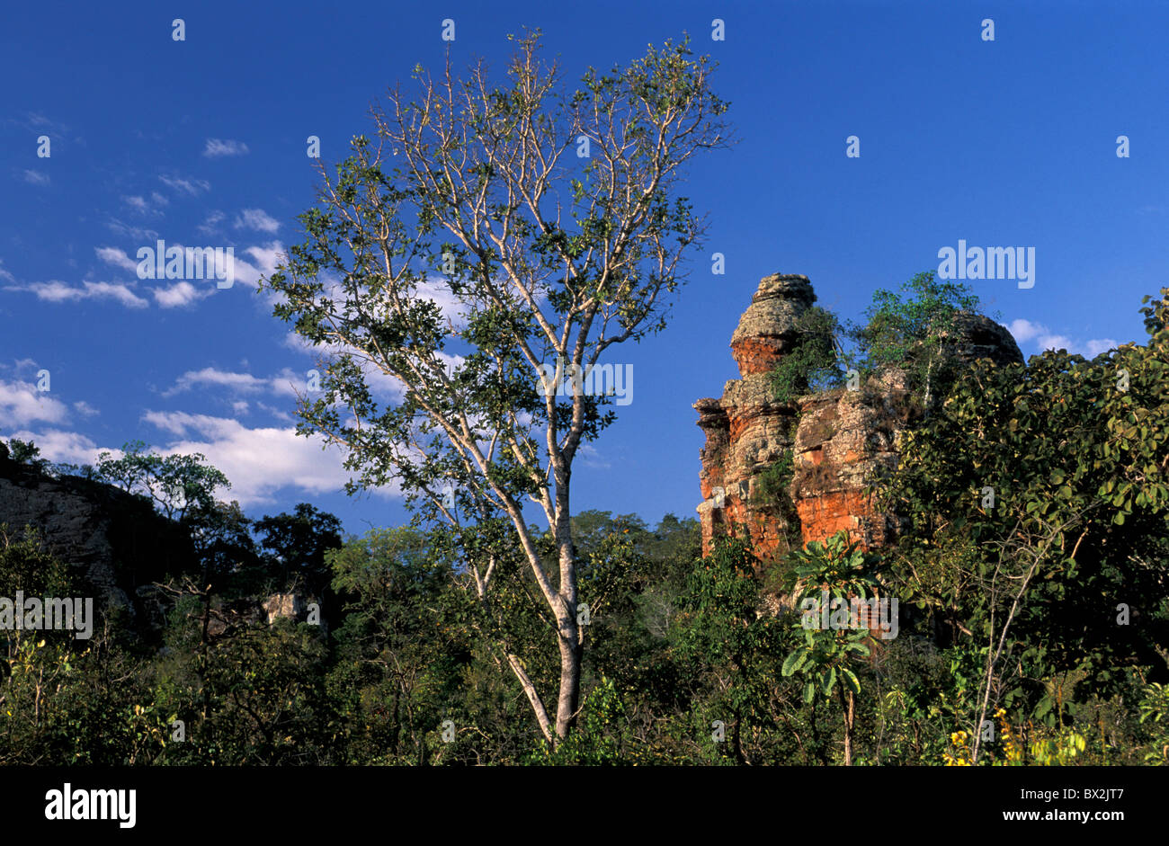 Rock Formations Chapada dos Guimares près de Cuiaba Mato Gross Brésil Amérique du Sud paysage Banque D'Images