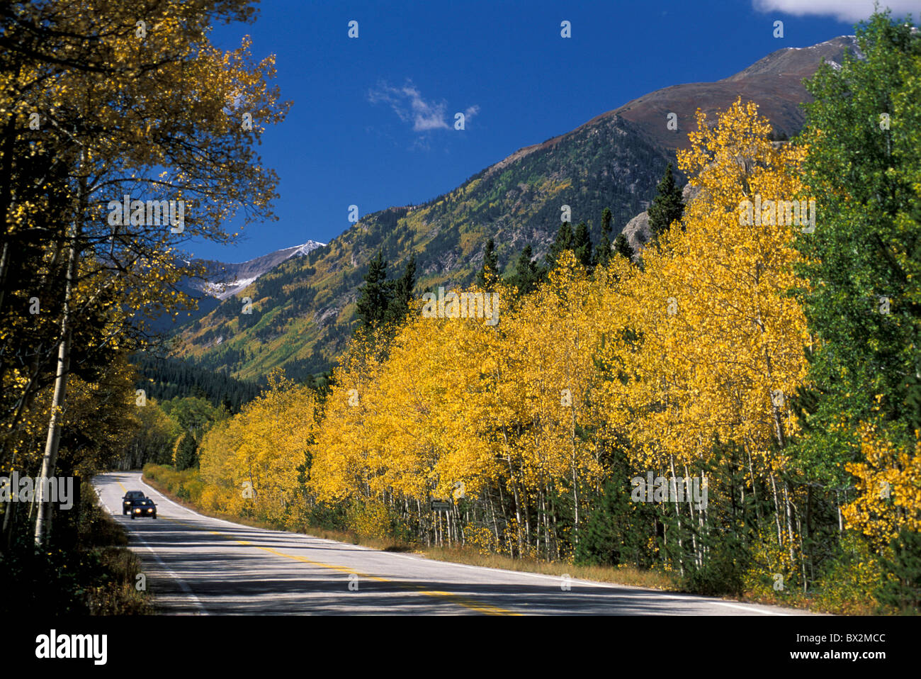 L'autoroute voitures trembles couleurs d'automne le long de la rivière White Pass Indépendance National Forest Colorado États-Unis Amérique ni Banque D'Images