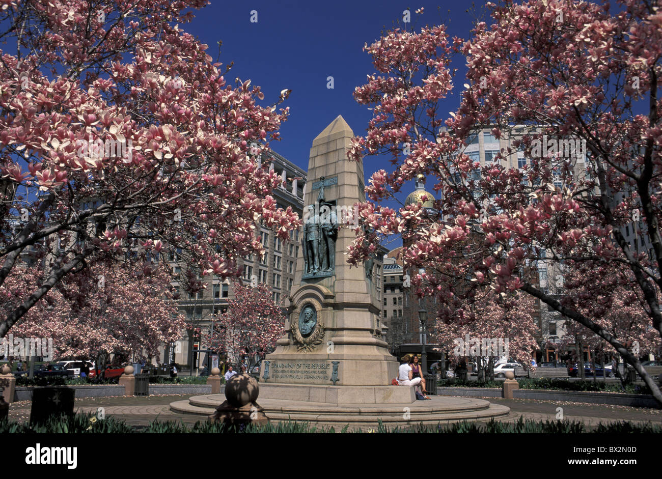 Indiana Plaza Centre-ville de Washington D.C., États-Unis d'Amérique du Nord arbres fleurs de printemps Banque D'Images
