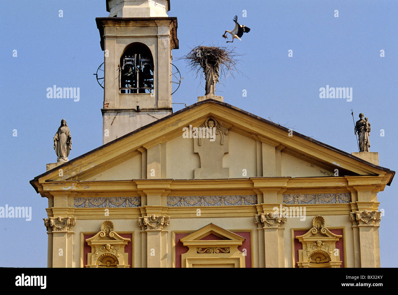 Cigogne blanche Ciconia ciconia cigogne église nid oiseaux cigognes animaux animal nu Piémont Italie Europe Banque D'Images