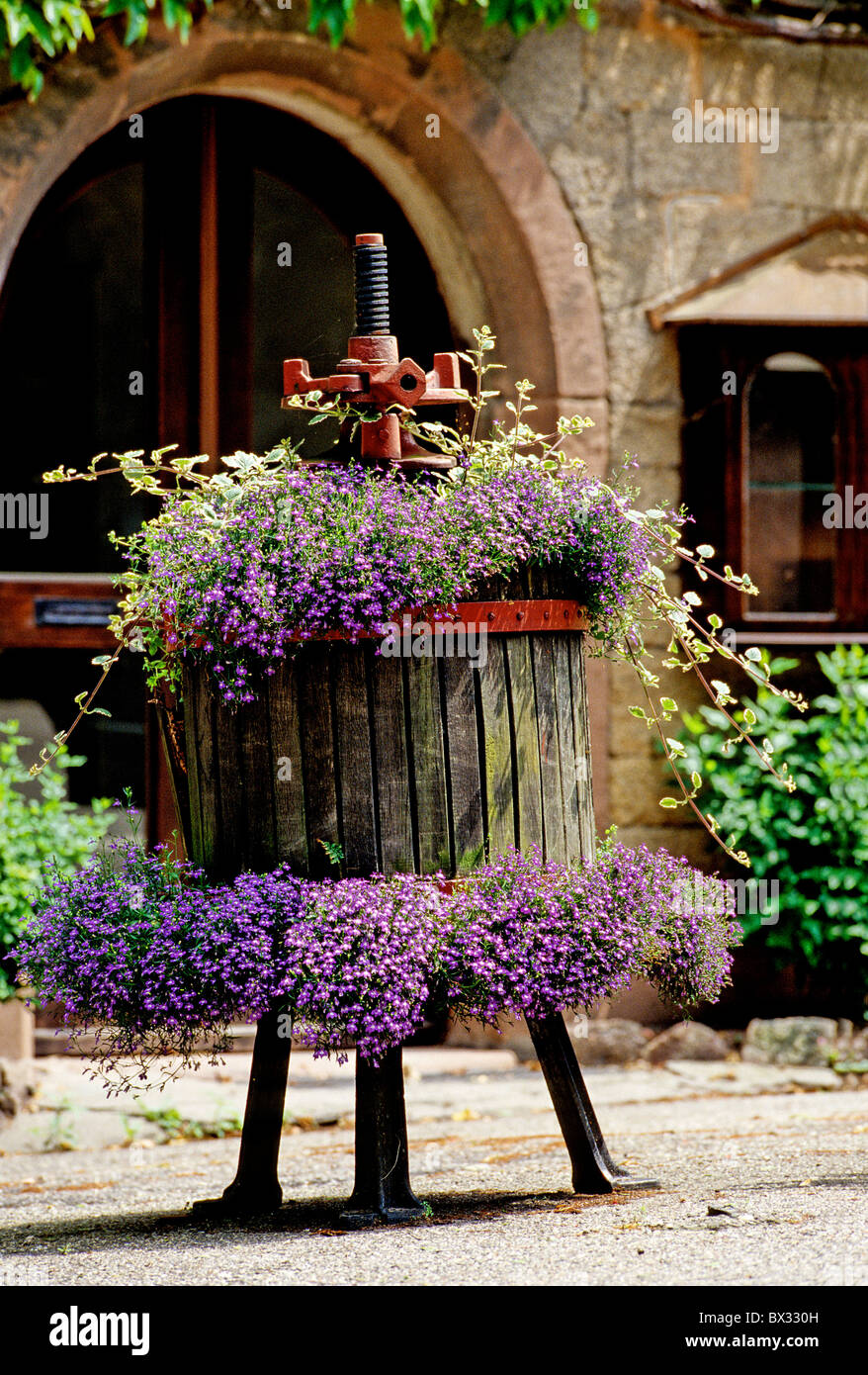 Pressoir à vin décoration fleurs bijoux fleurs Forêt Noire Allemagne Europe  Baden-Wu Photo Stock - Alamy