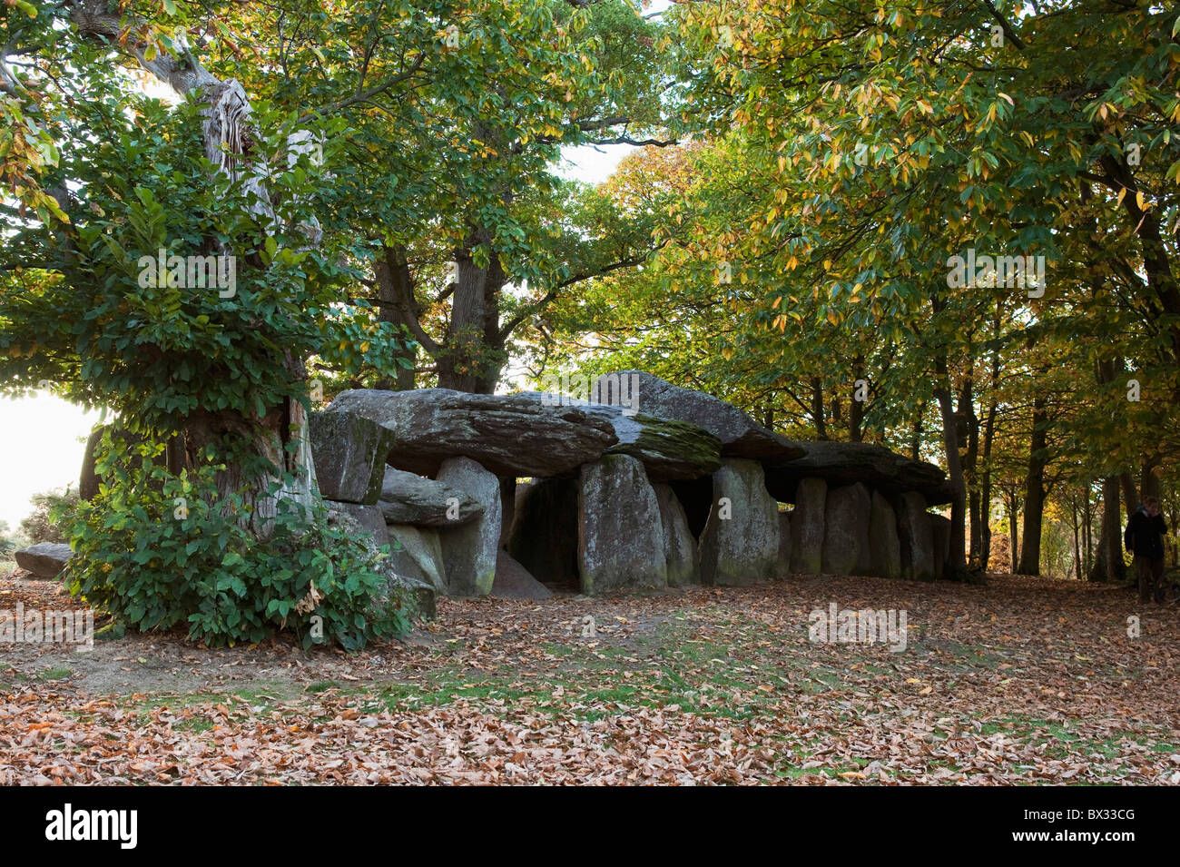 La Roche aux Fées ; Esse, France Banque D'Images