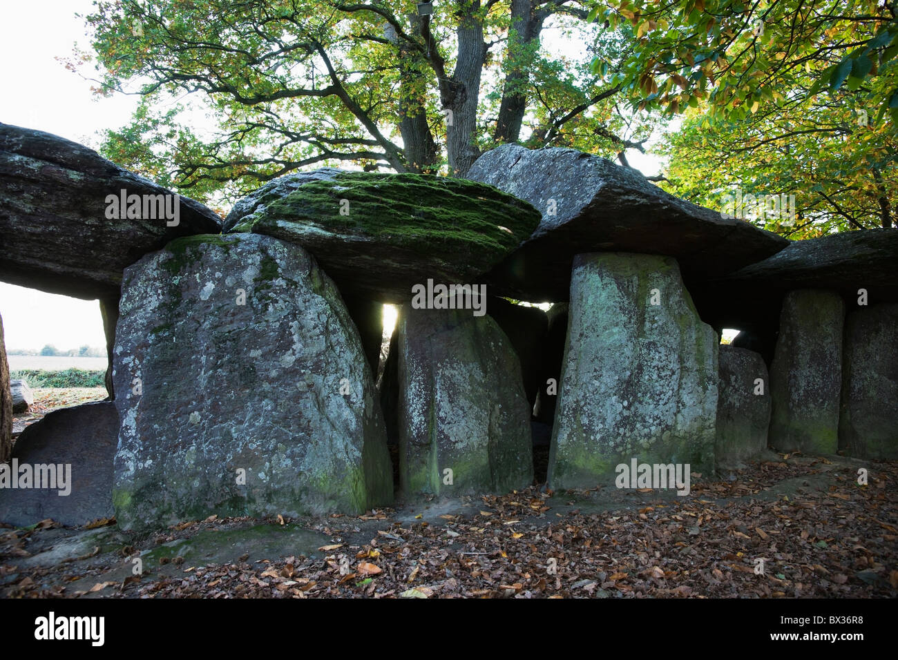 La Roches-Aux-droits ; Esse, France Banque D'Images