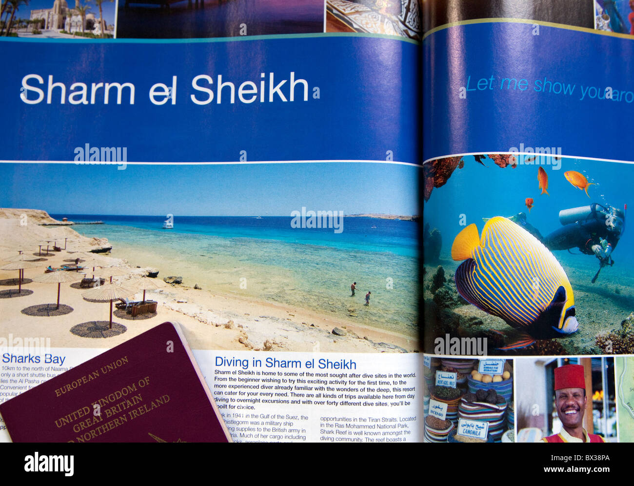 Maison de vacances brochure à Charm el-Cheikh, Égypte Banque D'Images