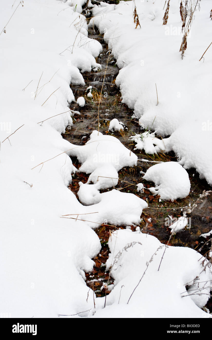 Snowy prairie traversée par petit ruisseau Banque D'Images