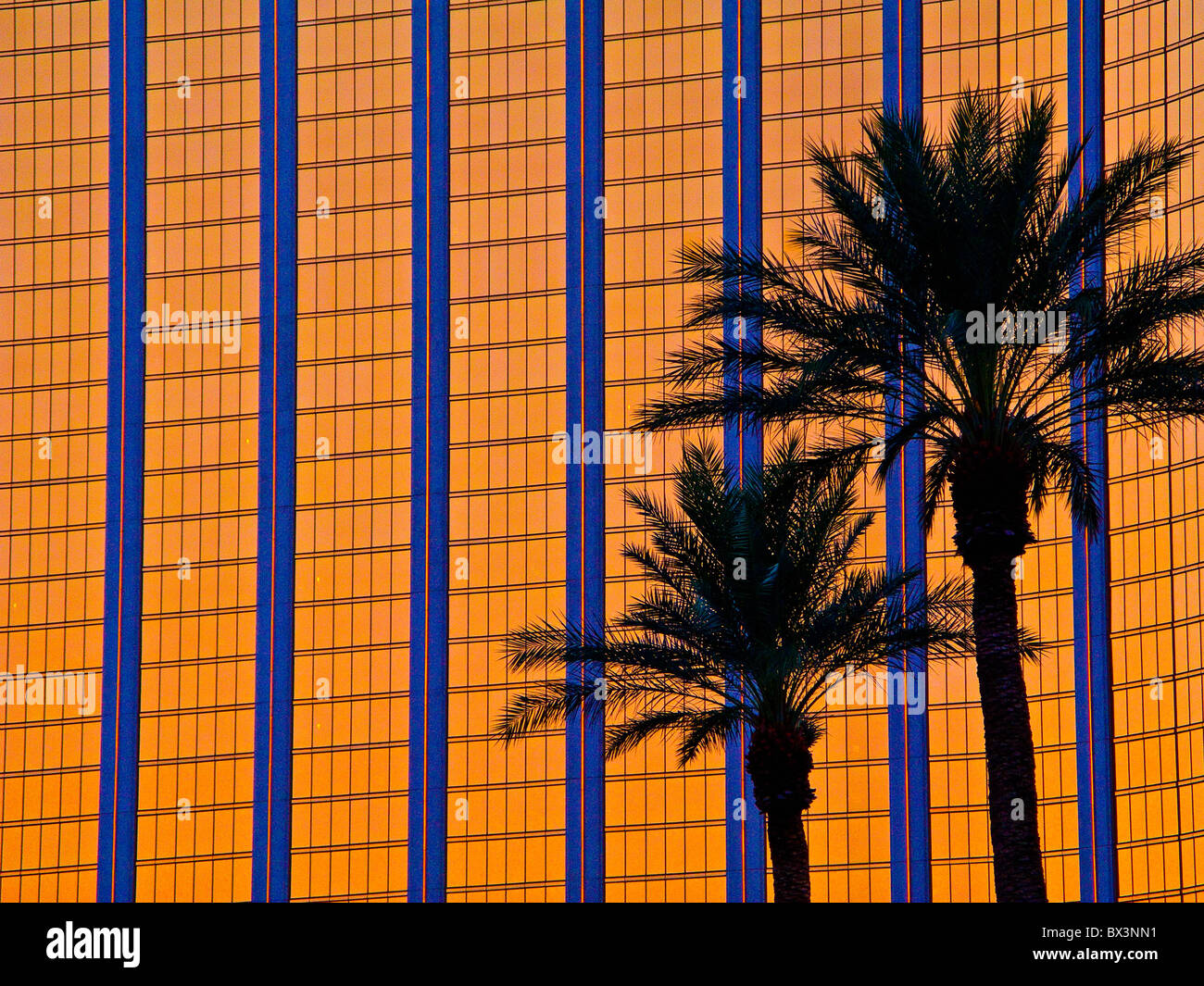 Fenêtre d'hôtel réflexion et palmiers Banque D'Images