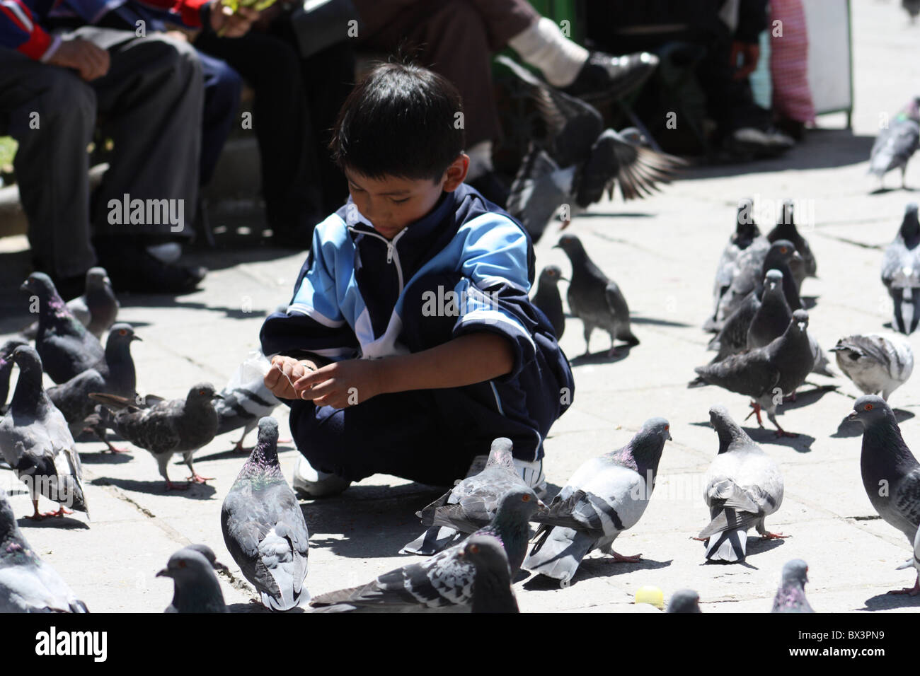 Garçon et les pigeons à Plaza Murillo, La Paz Banque D'Images