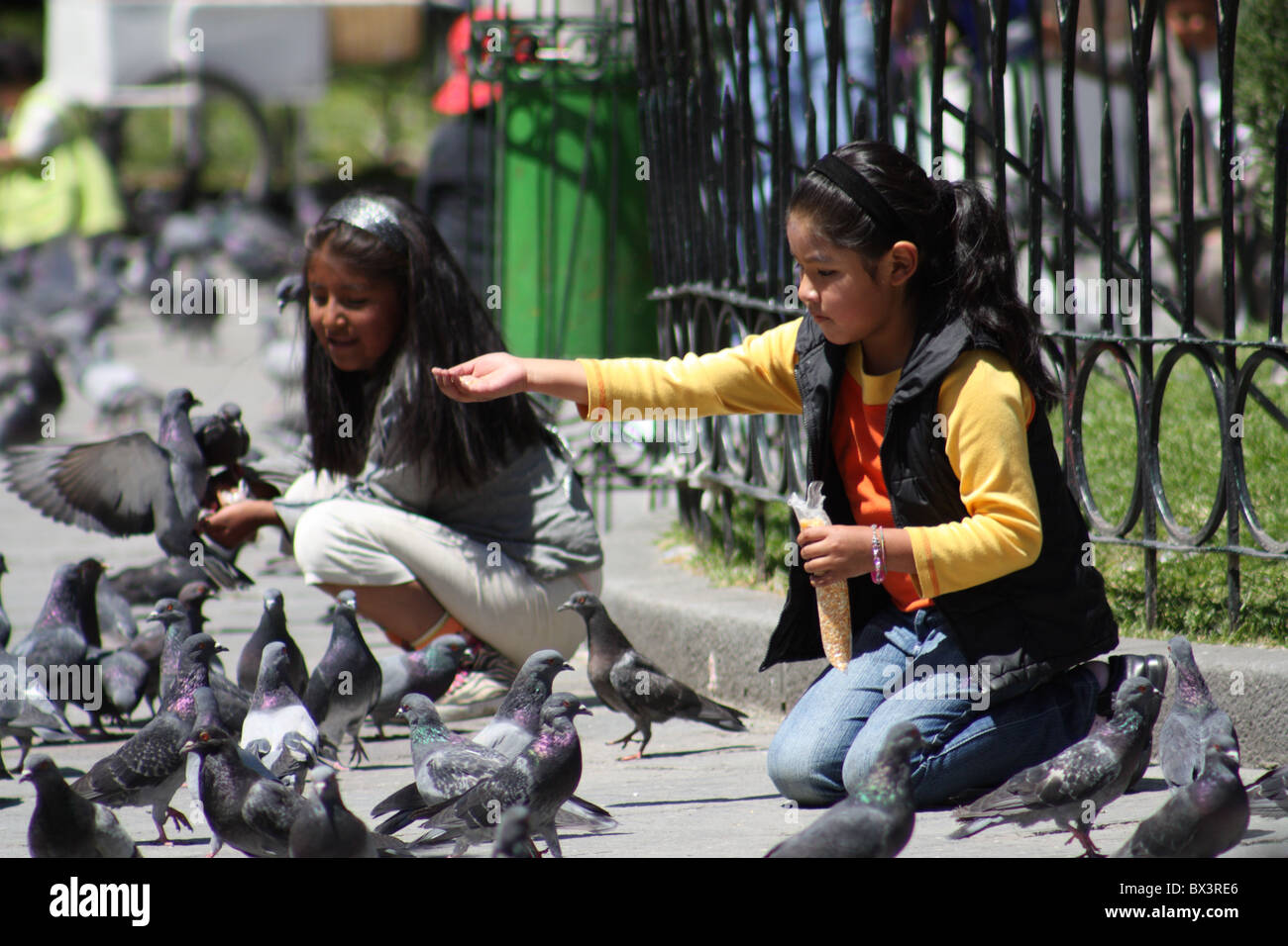 Les enfants nourrir les pigeons sur la Place Murillo à La Paz, Bolivie Banque D'Images