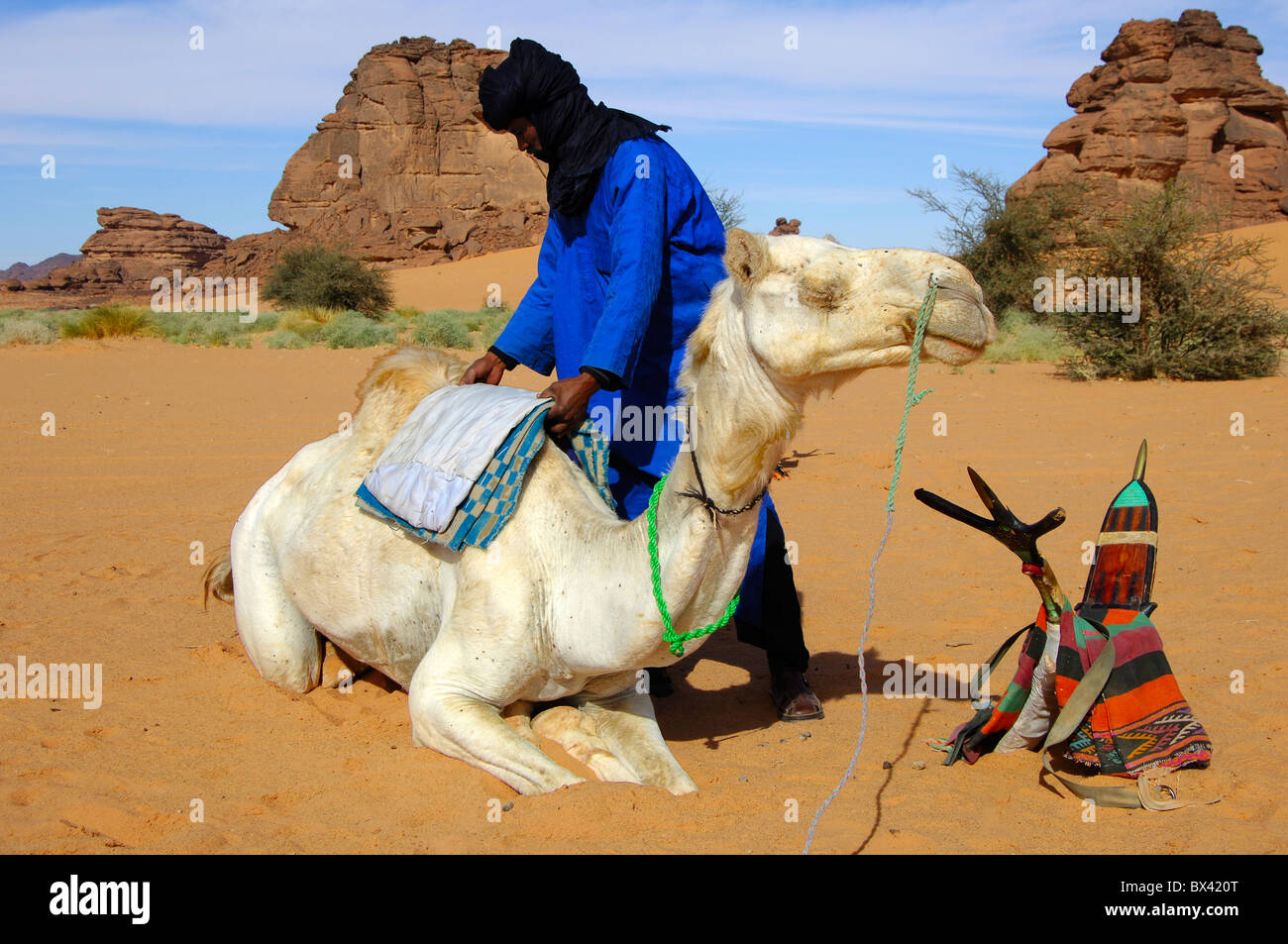 Les hommes touaregs de fixation de la selle sur le dos d'un dromadaire Méhari avant le parcours, désert du Sahara, la Libye Banque D'Images
