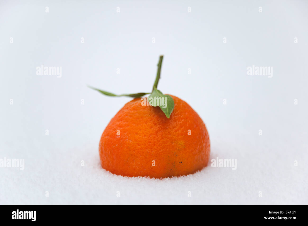 Nourriture, fruits, orange Clémentine dans la neige. Banque D'Images