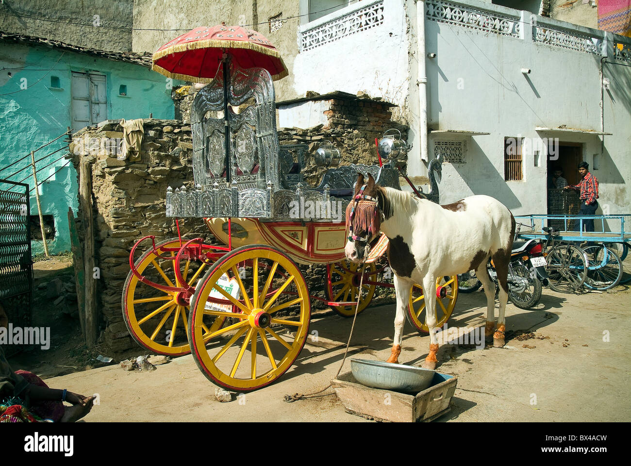 Magnifique cheval et noces d'argent transport à Udaipur, Rajasthan, Inde Banque D'Images