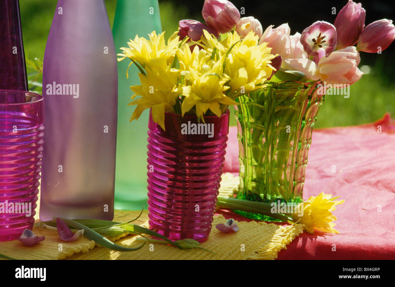 Still-Life jaune de jonquilles et tulipes roses dans des vases rose et vert Banque D'Images