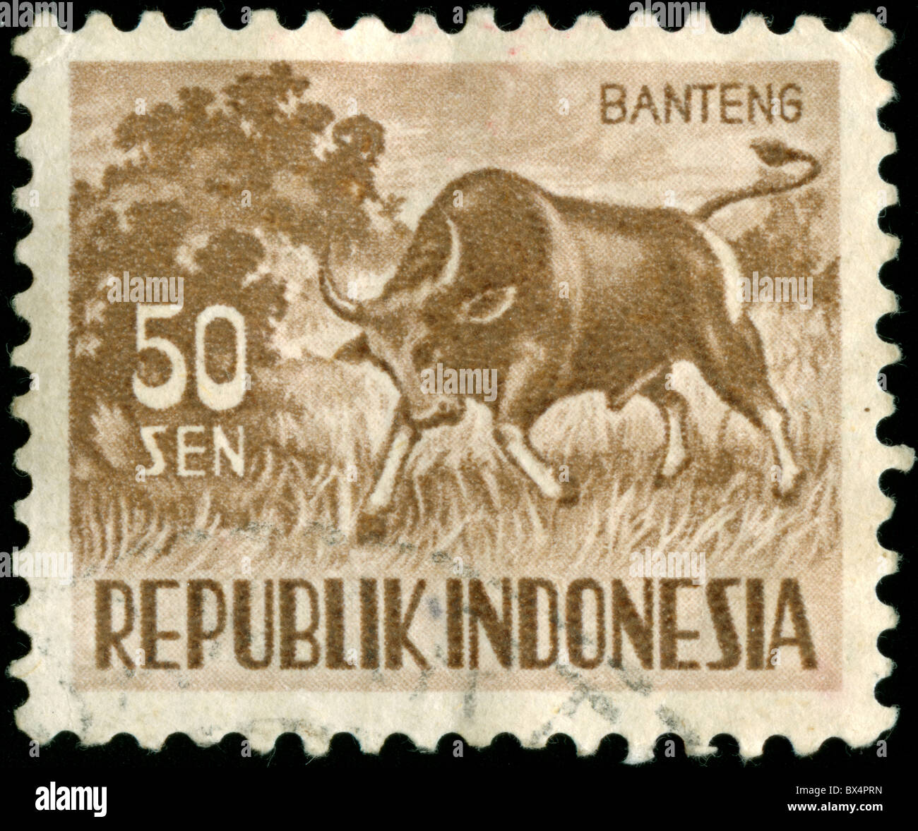 Timbres anciens d'Indonésie avec buffalo Banque D'Images