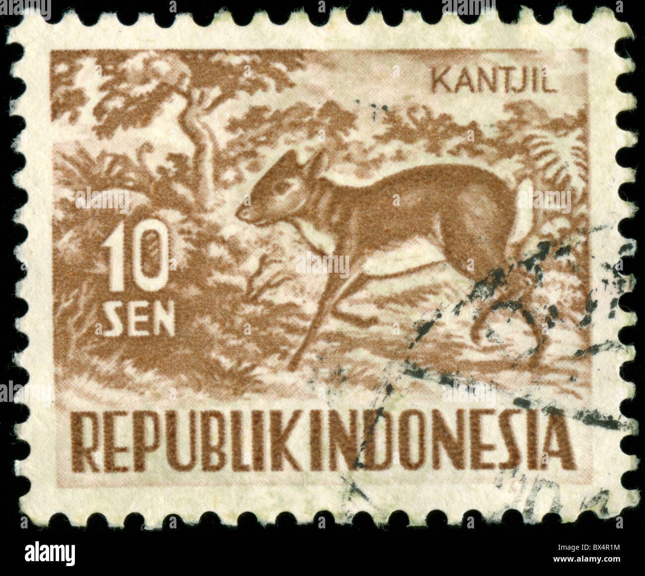 Annulation de l'Indonésie avec timbre vintage photo d'un cerf Banque D'Images