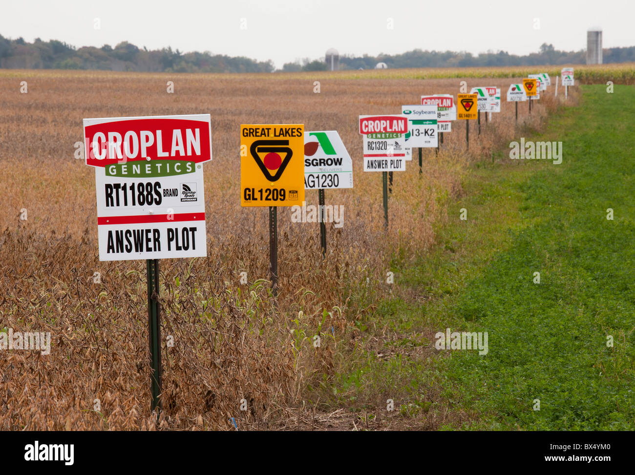 Saint Nazianz, Wisconsin - Signes marquer différentes variétés de cultures dans un champ de soja, y compris les cultures génétiquement modifiées. Banque D'Images