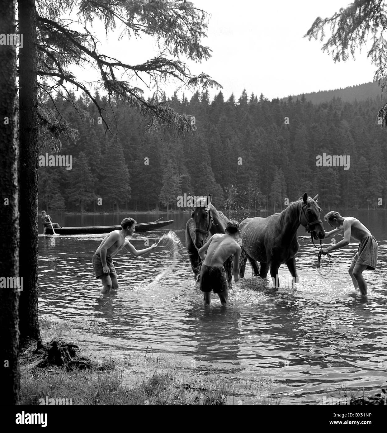 Patrouille de frontière avec les chevaux Banque D'Images