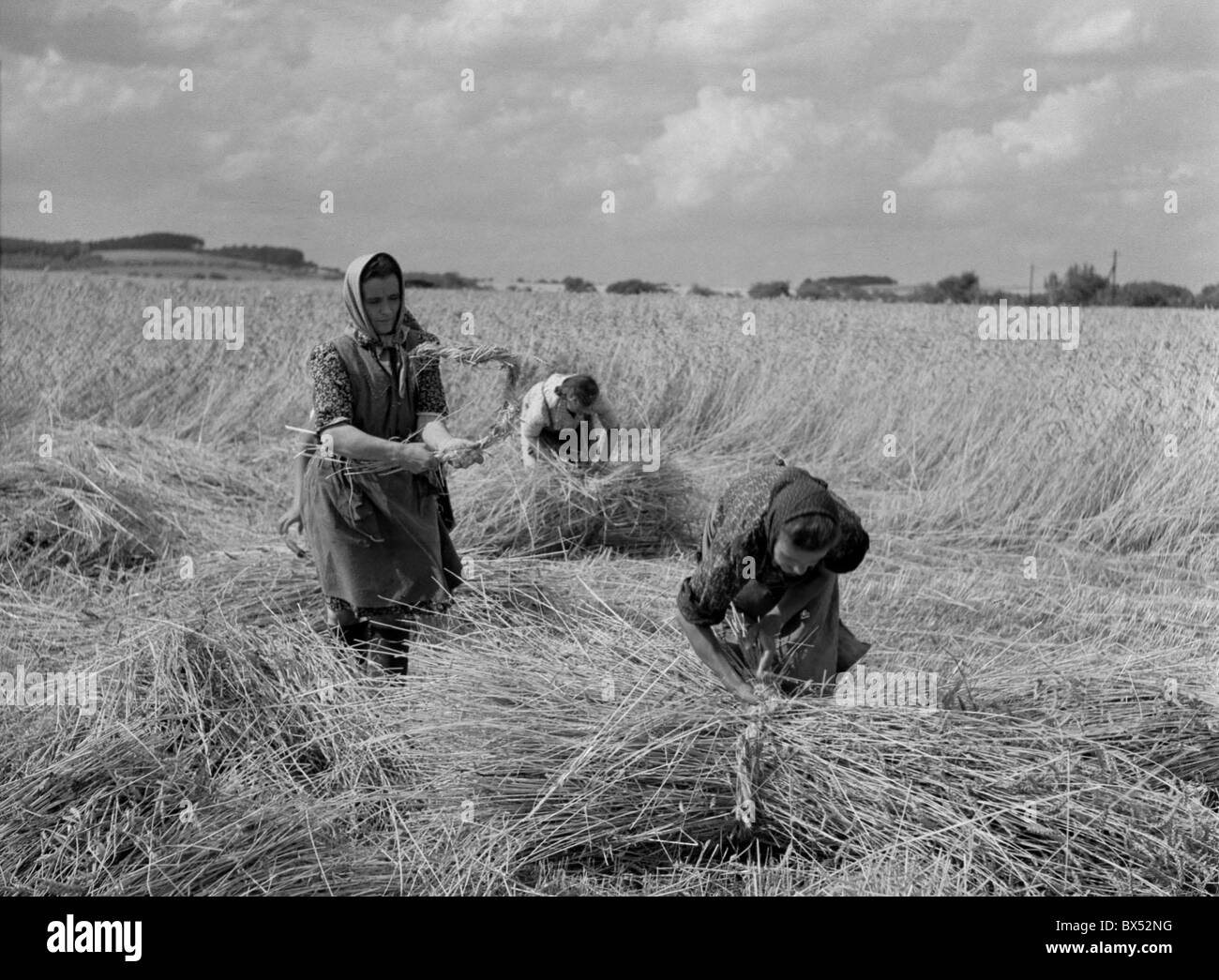 La récolte du blé, de Sumava, tradition, ensembles Banque D'Images