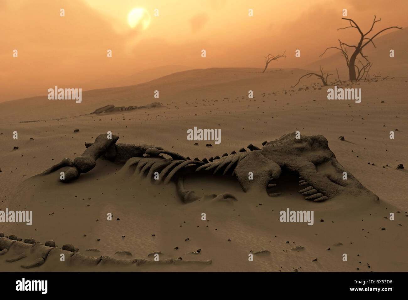 Des squelettes de dinosaure dans le désert Banque D'Images