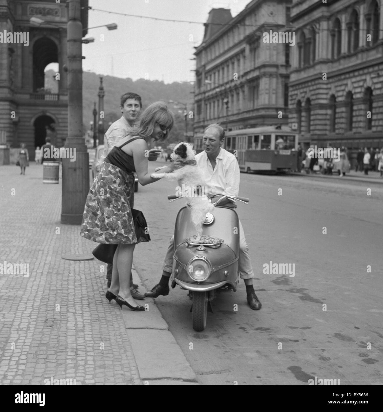Femme joue avec chien debout sur un scooter à Prague, la Tchécoslovaquie en 1964. (CTK Photo / Karel Havlicek) Banque D'Images