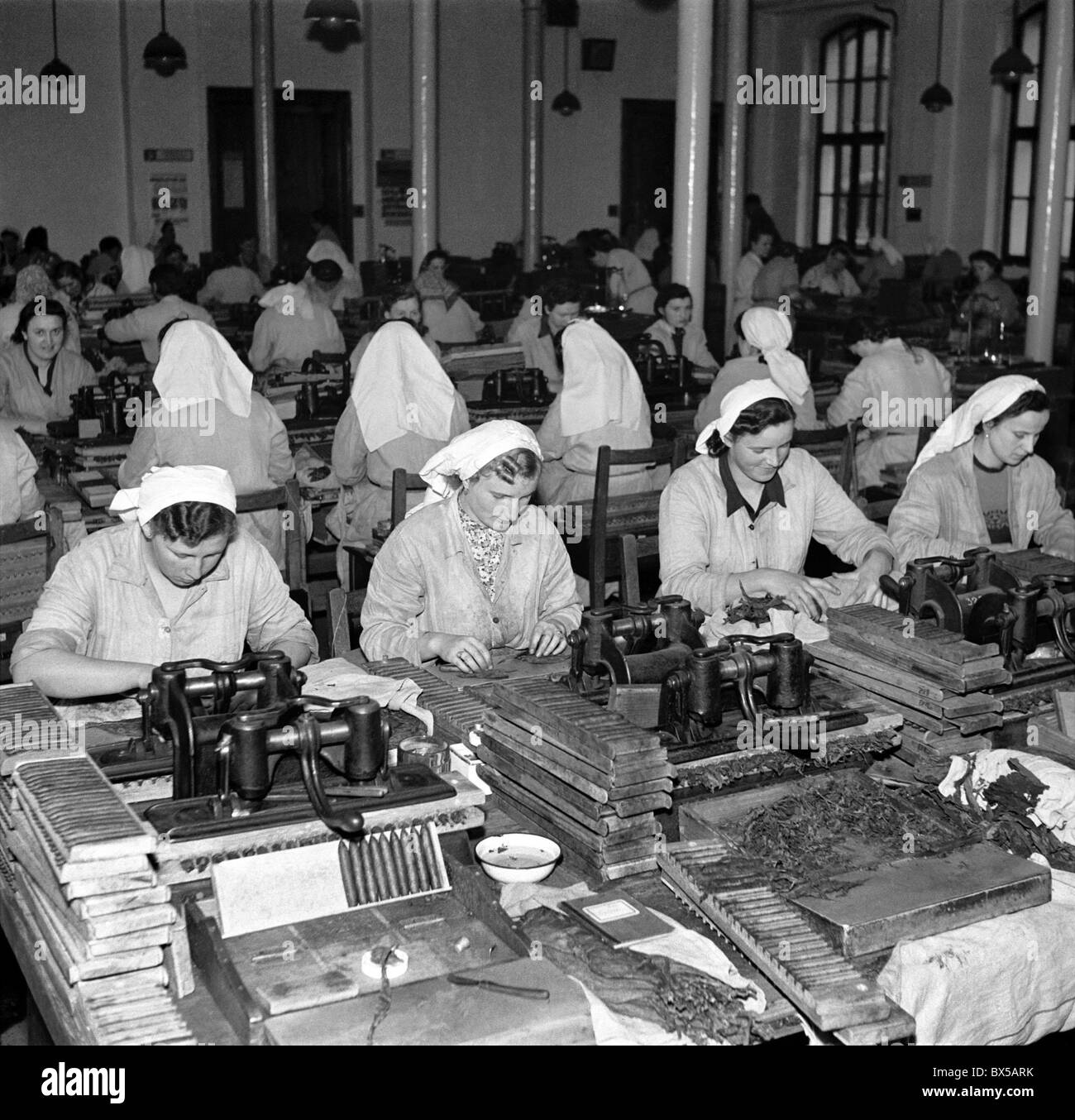 La Tchécoslovaquie - Deshaies 1950. Des femmes membres de l'Union de la jeunesse tchécoslovaque roll cigares à l'usine de tabac. CTK Photo Vintage Banque D'Images