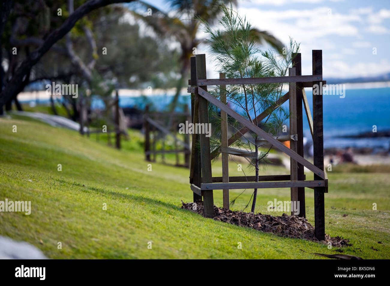 Esplanade Plage de Mooloolaba Sunshine Coast Australie Queensland Banque D'Images