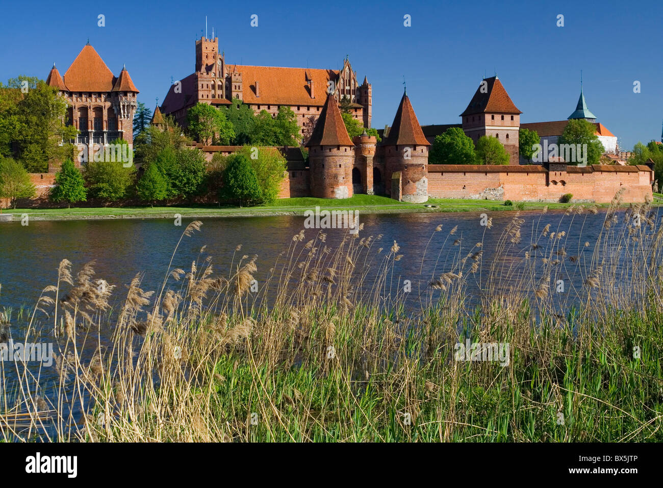 Le château gothique de Malbork Pologne Banque D'Images