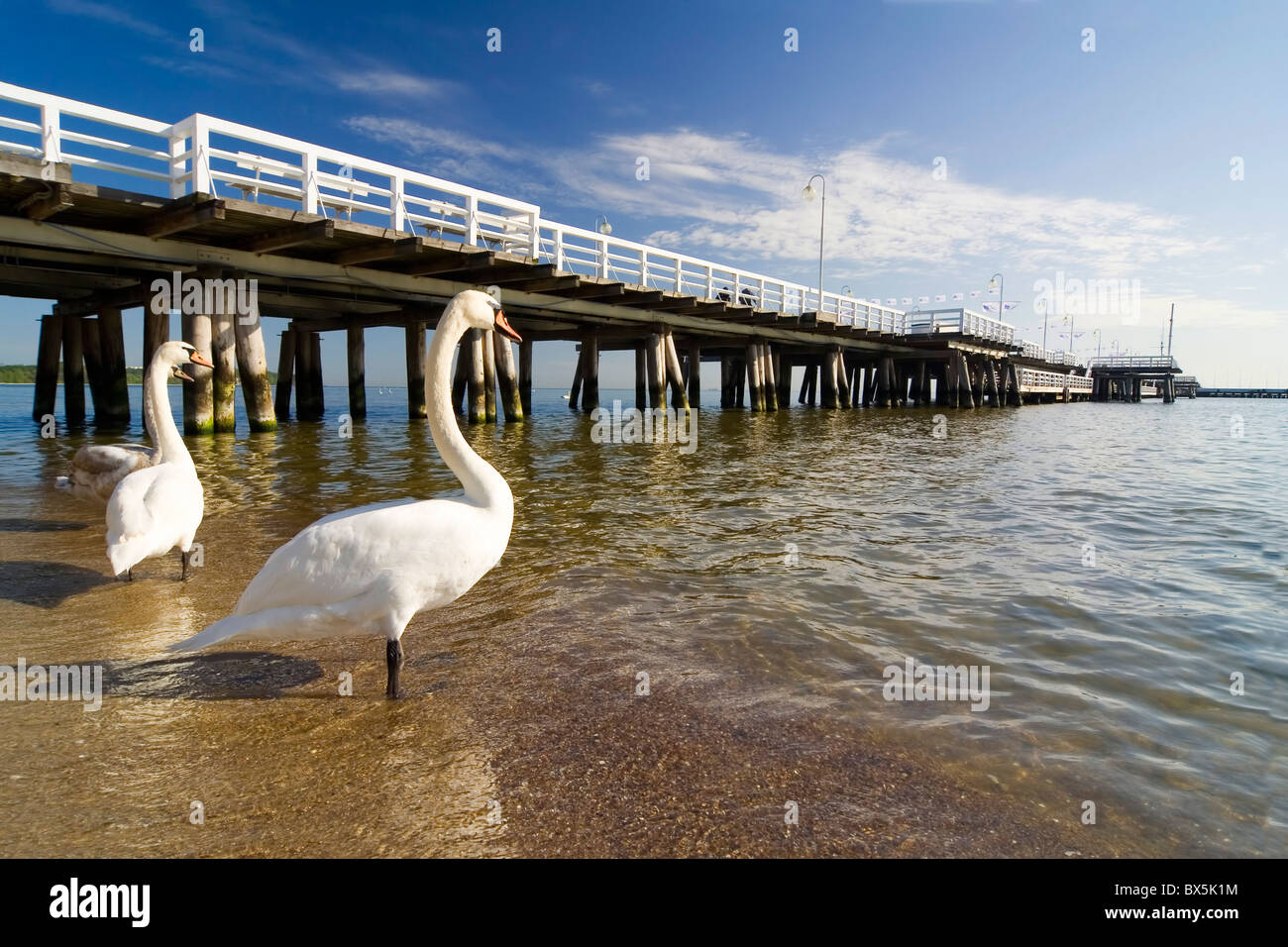 La jetée de Sopot - Pologne Ville Banque D'Images