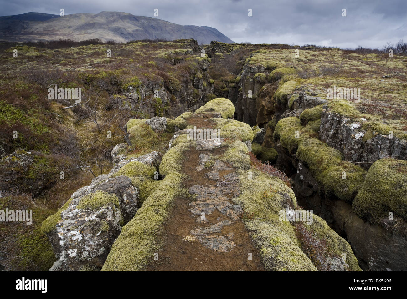 Défaut dans le paysage provoquée par la dérive, au Parc National de Thingvellir, près de Reykjavik, Islande Banque D'Images