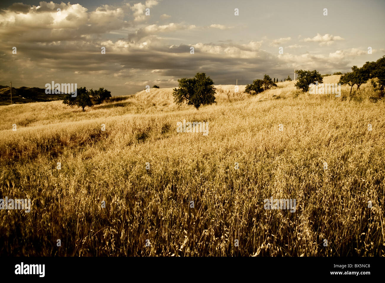 Sicilienne dans l'été Banque D'Images