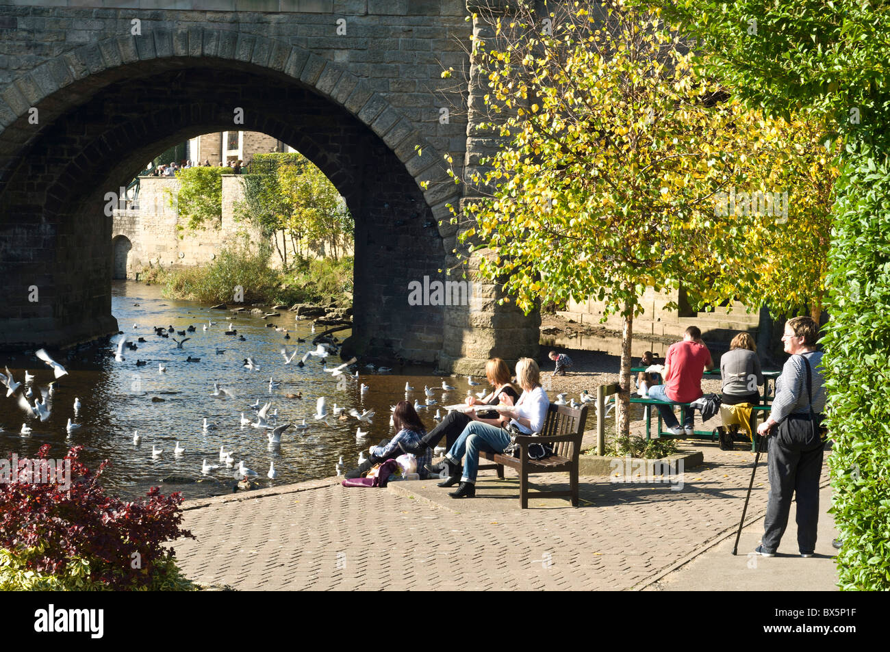 dh WETHERBY WEST YORKSHIRE les gens assis observant les oiseaux dans la rivière Wharfe, au bord de la rivière, au royaume-uni Banque D'Images