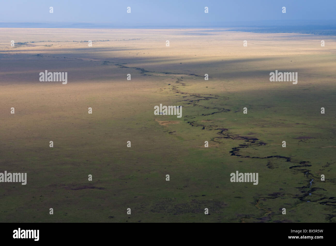Vue aérienne, Masai Mara, Kenya, Afrique de l'Est, l'Afrique Banque D'Images