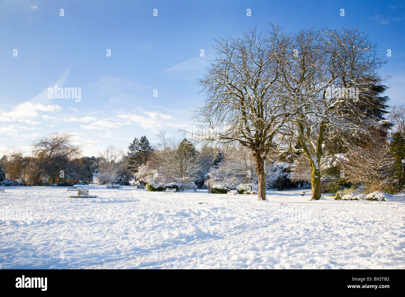 En hiver Valley Gardens Harrogate North Yorkshire Angleterre Banque D'Images
