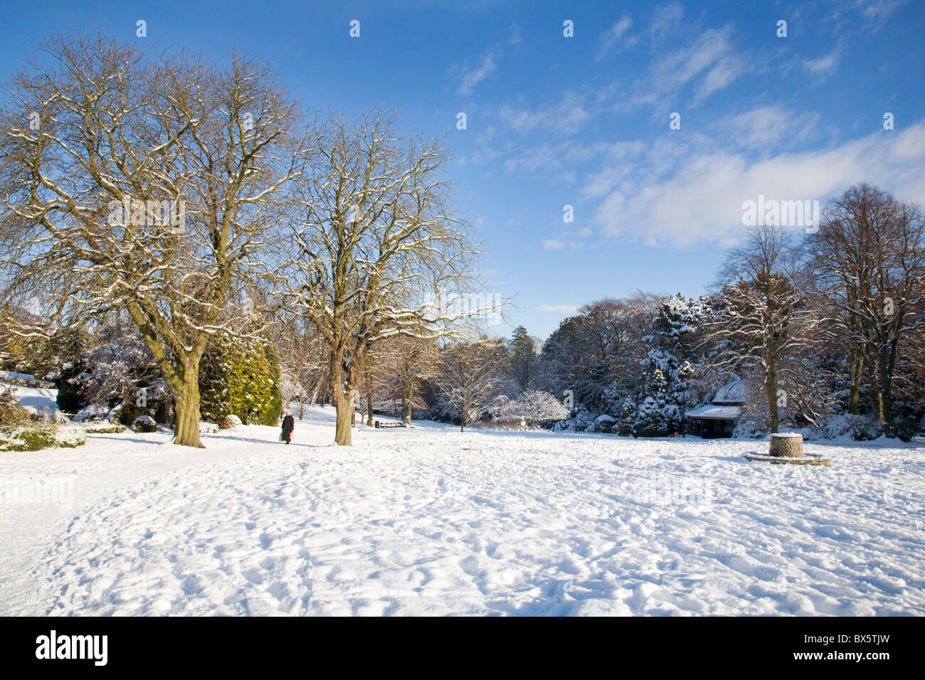 En hiver Valley Gardens Harrogate North Yorkshire Angleterre Banque D'Images