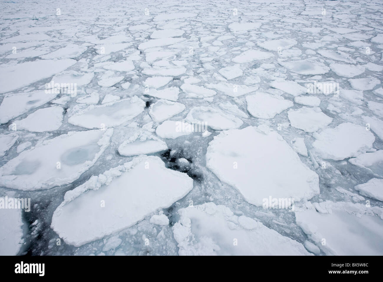 Banc de glace, glaces en dérive, le Groenland, l'Arctique, les régions polaires Banque D'Images