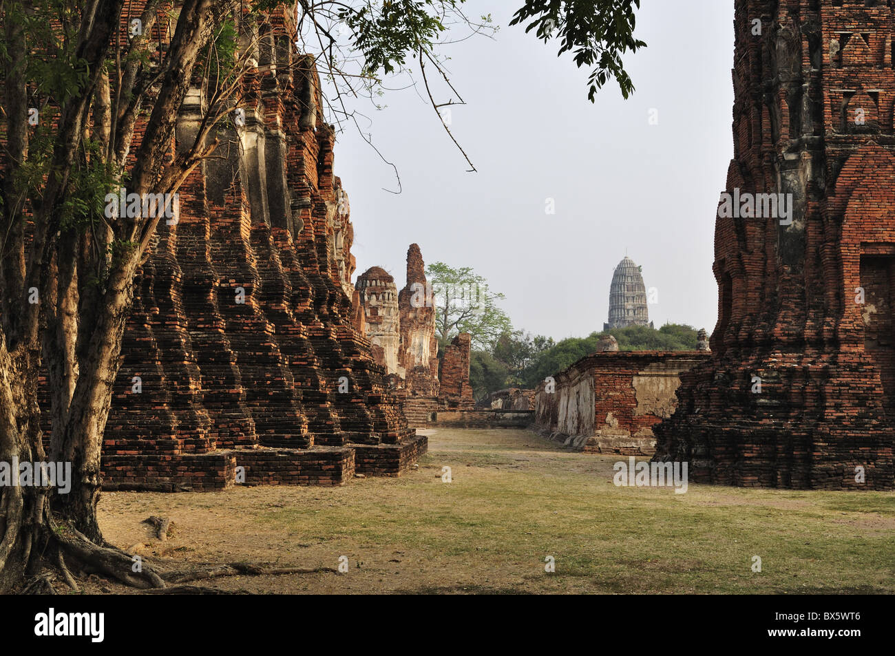 Wat Maha That, Ayutthaya, UNESCO World Heritage Site, Thaïlande, Asie du Sud, Asie Banque D'Images