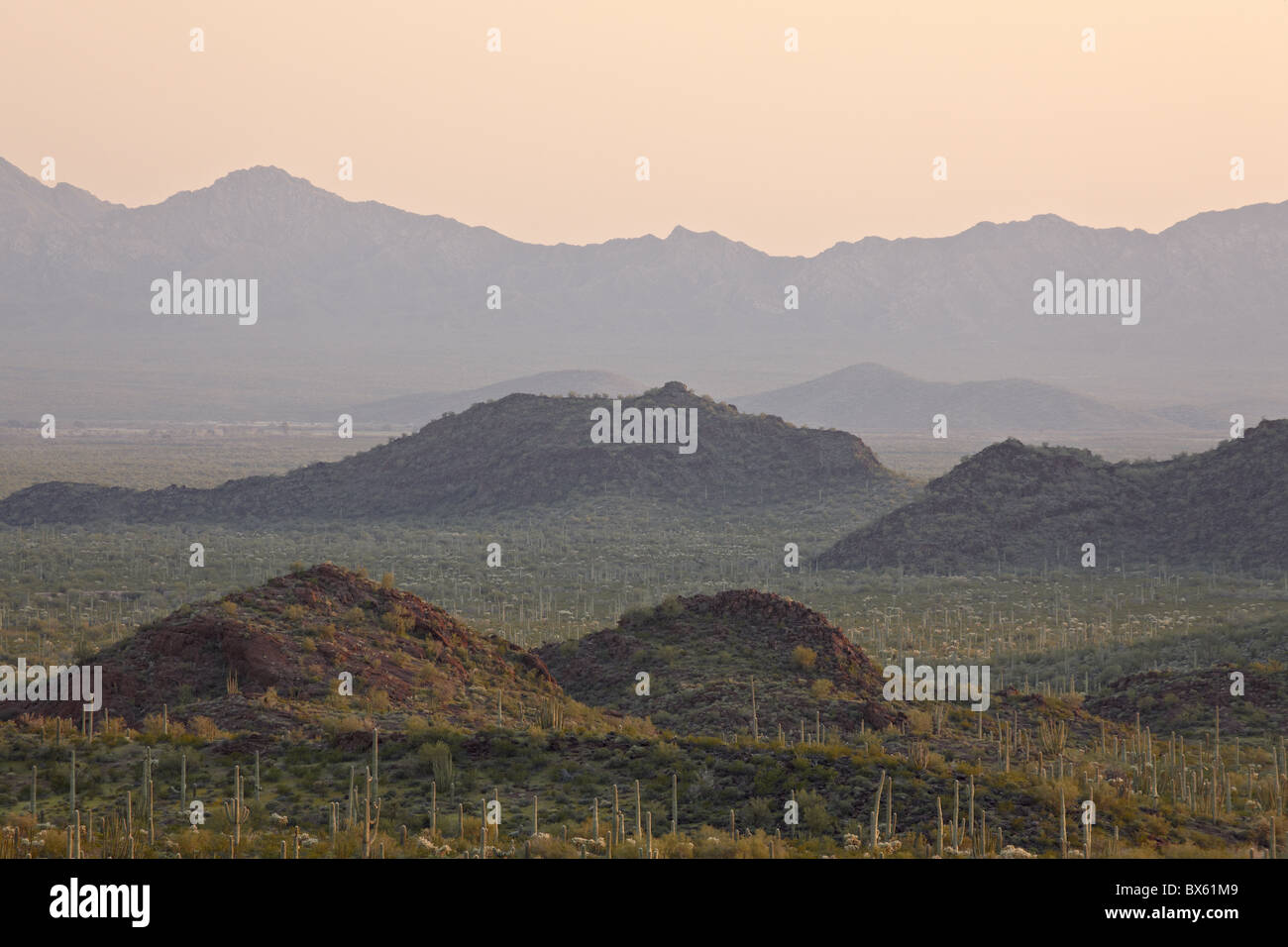 Coucher de soleil depuis la Diablo Mountains, orgue Pipe Cactus National Monument, Arizona, États-Unis d'Amérique, Amérique du Nord Banque D'Images