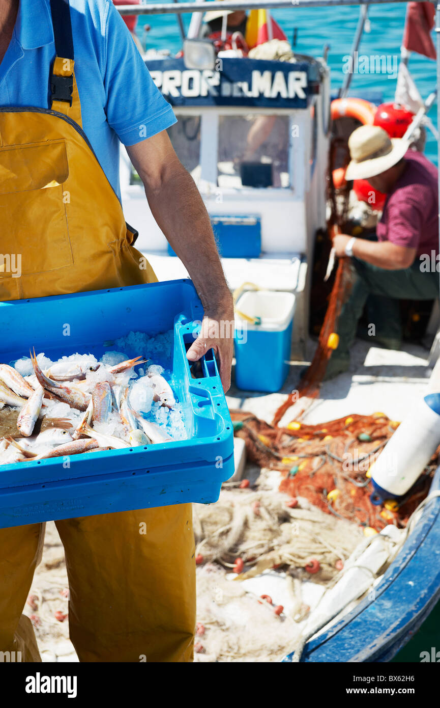 Fisherman holding tray de poissons frais Banque D'Images